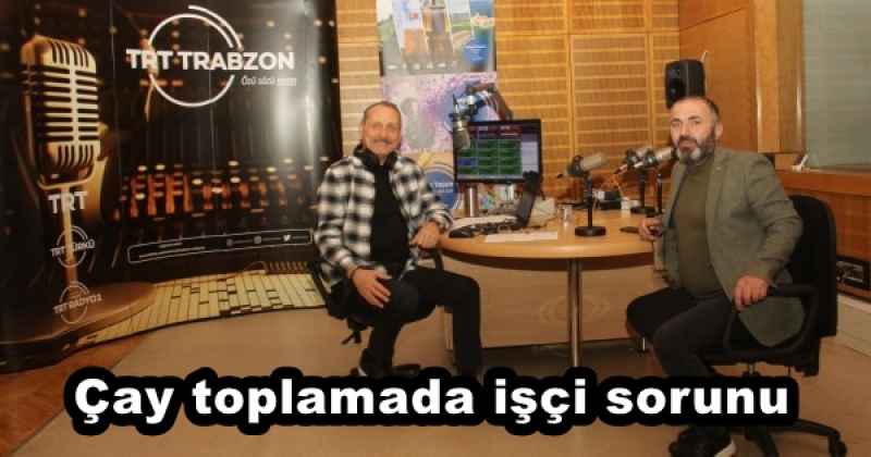 Çay toplamada işçi sorunu