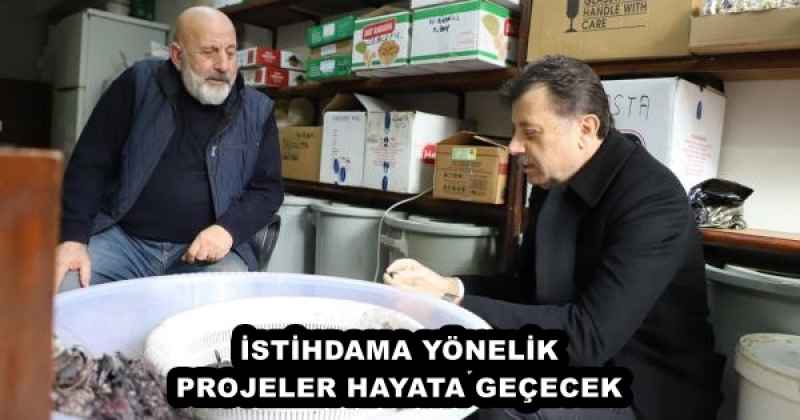 İSTİHDAMA YÖNELİK PROJELER HAYATA GEÇECEK