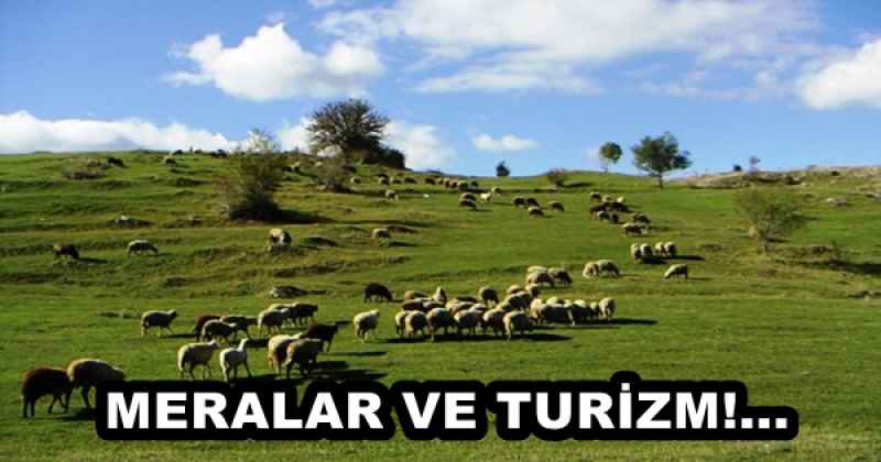 MERALAR VE TURİZM!...