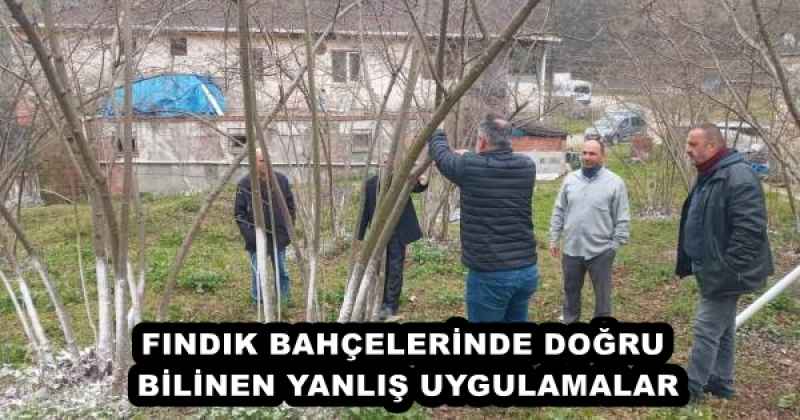 FINDIK BAHÇELERİNDE DOĞRU BİLİNEN YANLIŞ UYGULAMALAR