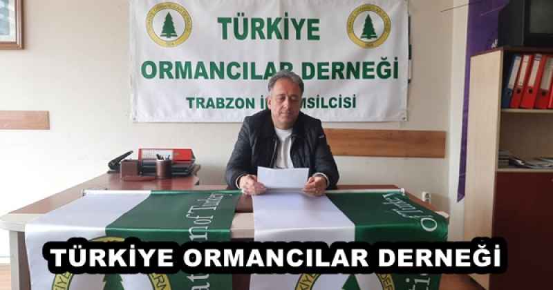 TÜRKİYE ORMANCILAR DERNEĞİ