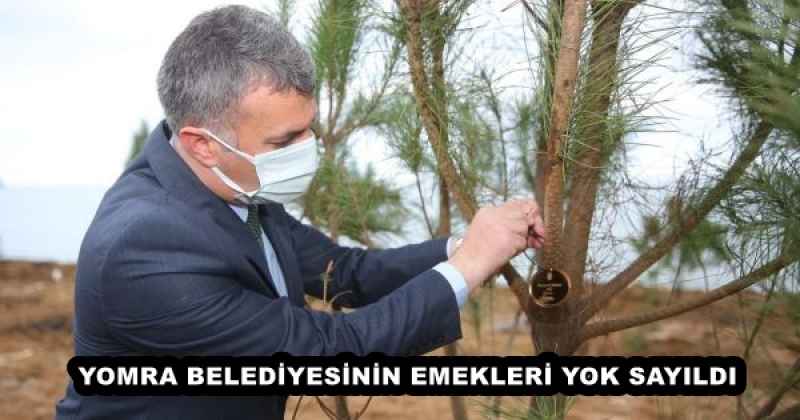 YOMRA BELEDİYESİNİN EMEKLERİ YOK SAYILDI