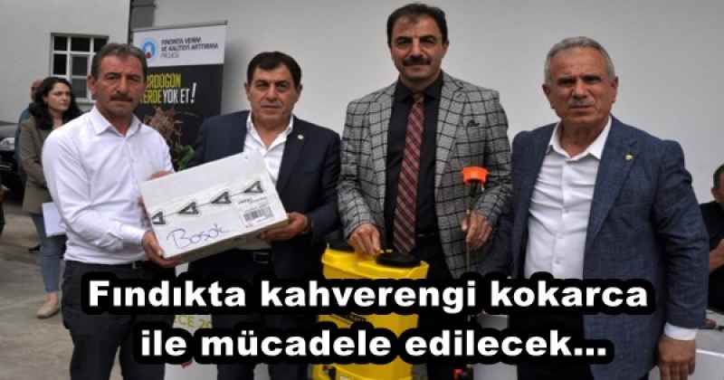 Fındıkta kahverengi kokarca ile mücadele edilecek…