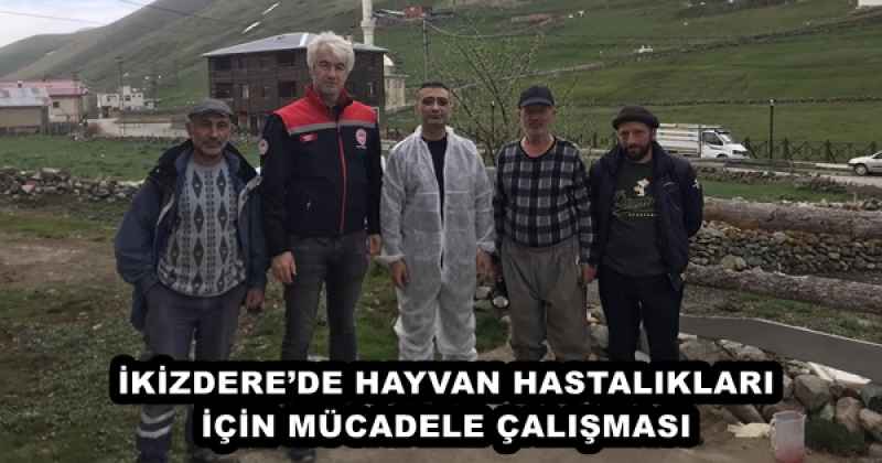 İKİZDERE’DE HAYVAN HASTALIKLARI İÇİN MÜCADELE ÇALIŞMASI