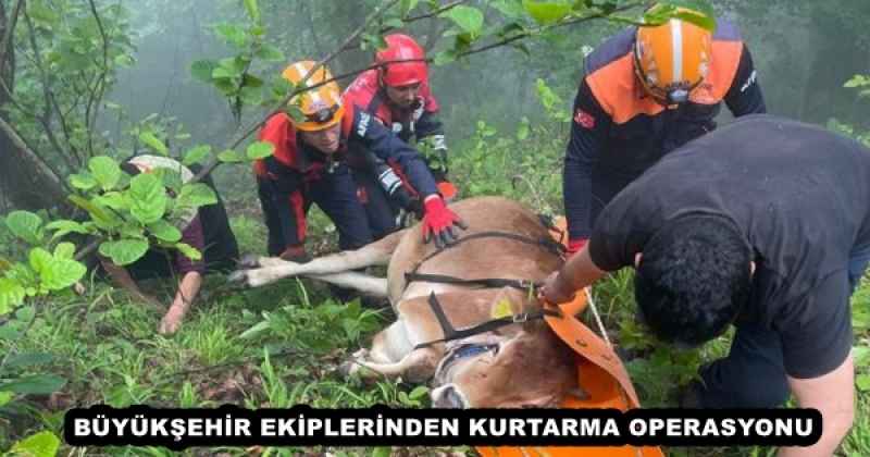 BÜYÜKŞEHİR EKİPLERİNDEN KURTARMA OPERASYONU