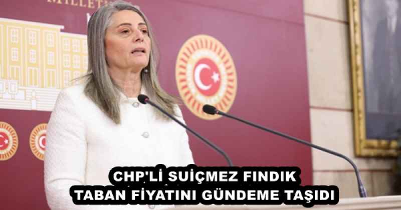 CHP'Lİ SUİÇMEZ FINDIK TABAN FİYATINI GÜNDEME TAŞIDI