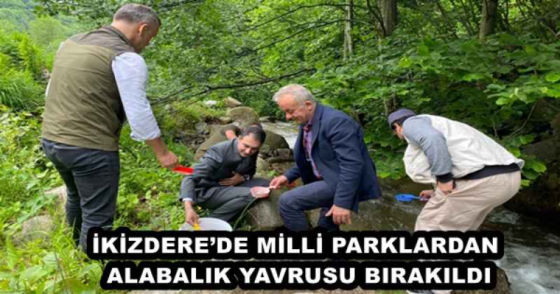 İKİZDERE’DE MİLLİ PARKLARDAN ALABALIK YAVRUSU BIRAKILDI