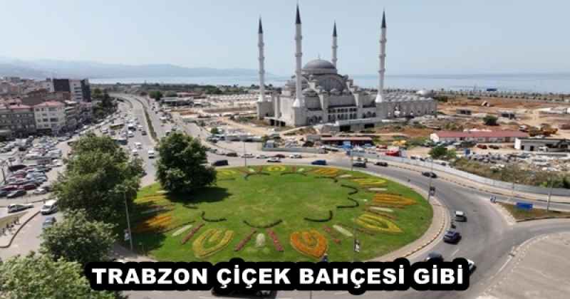 TRABZON ÇİÇEK BAHÇESİ GİBİ