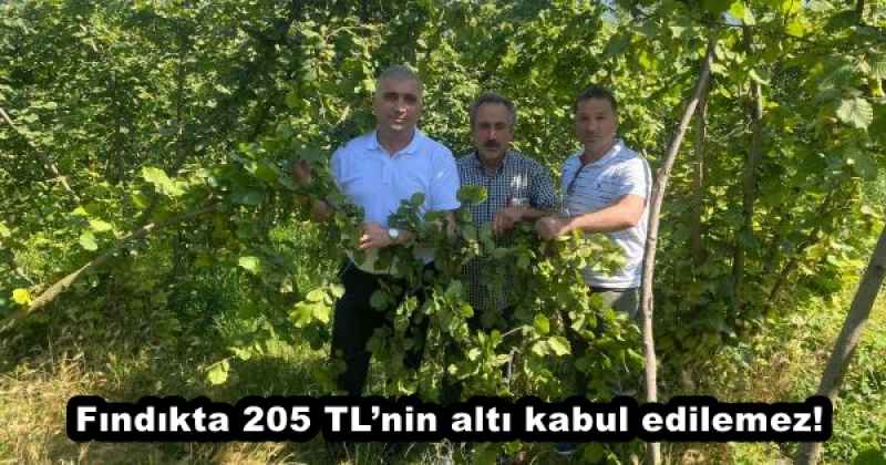 Fındıkta 205 TL’nin altı kabul edilemez!