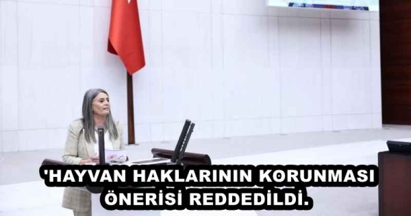 'HAYVAN HAKLARININ KORUNMASI ÖNERİSİ REDDEDİLDİ.