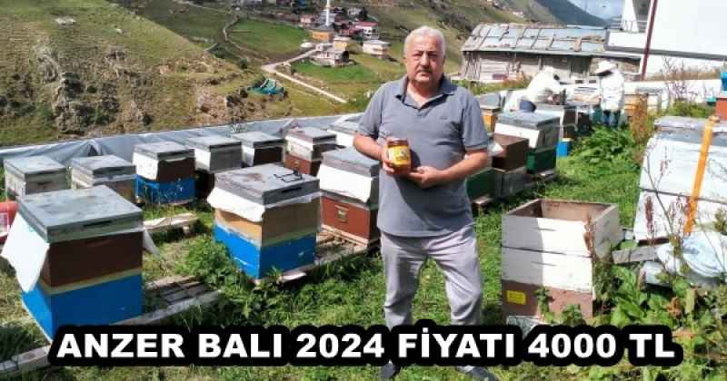 ANZER BALI 2024 FİYATI 4000 TL