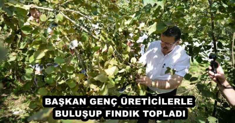 BAŞKAN GENÇ ÜRETİCİLERLE BULUŞUP FINDIK TOPLADI