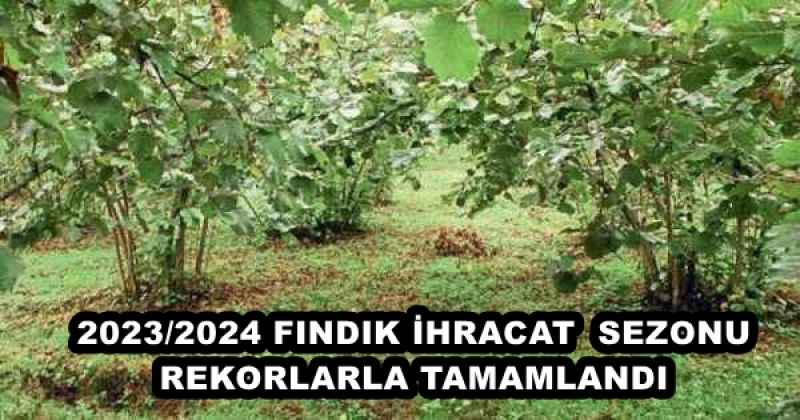 2023/2024 FINDIK İHRACAT  SEZONU REKORLARLA TAMAMLANDI