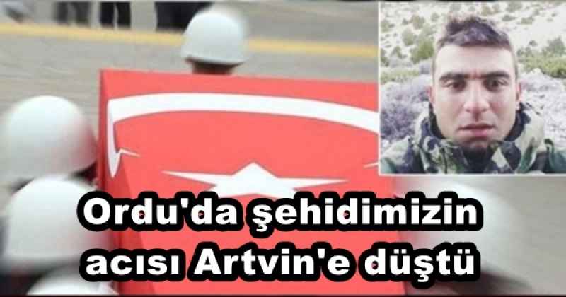 Ordu'da şehidimizin acısı Artvin'e düştü 