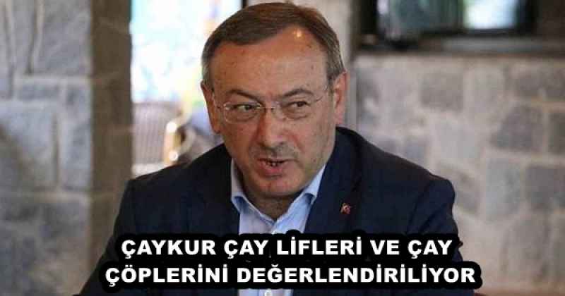 ÇAYKUR ÇAY LİFLERİ VE ÇAY ÇÖPLERİNİ DEĞERLENDİRİLİYOR