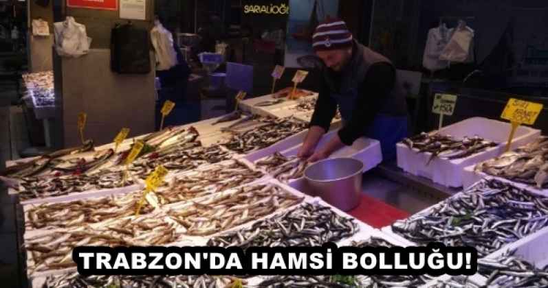 TRABZON'DA HAMSİ BOLLUĞU!